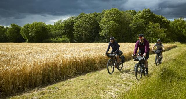 Cyclists riding along a country trail with Wheat fields and a forest behind them.