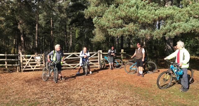 Five cyclists in a clearing at an entrance to a woodland area in autumn