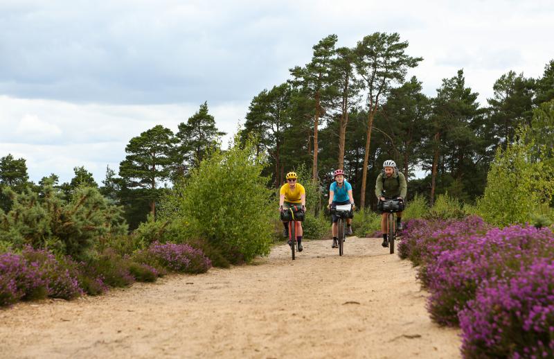3 cyclists on King Alfred's Way route on an off road track cycling past bushes