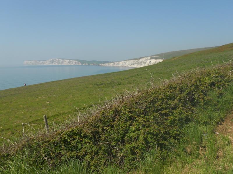 A landscape shot of the Isle of Wight with the sea and white cliffs in the background