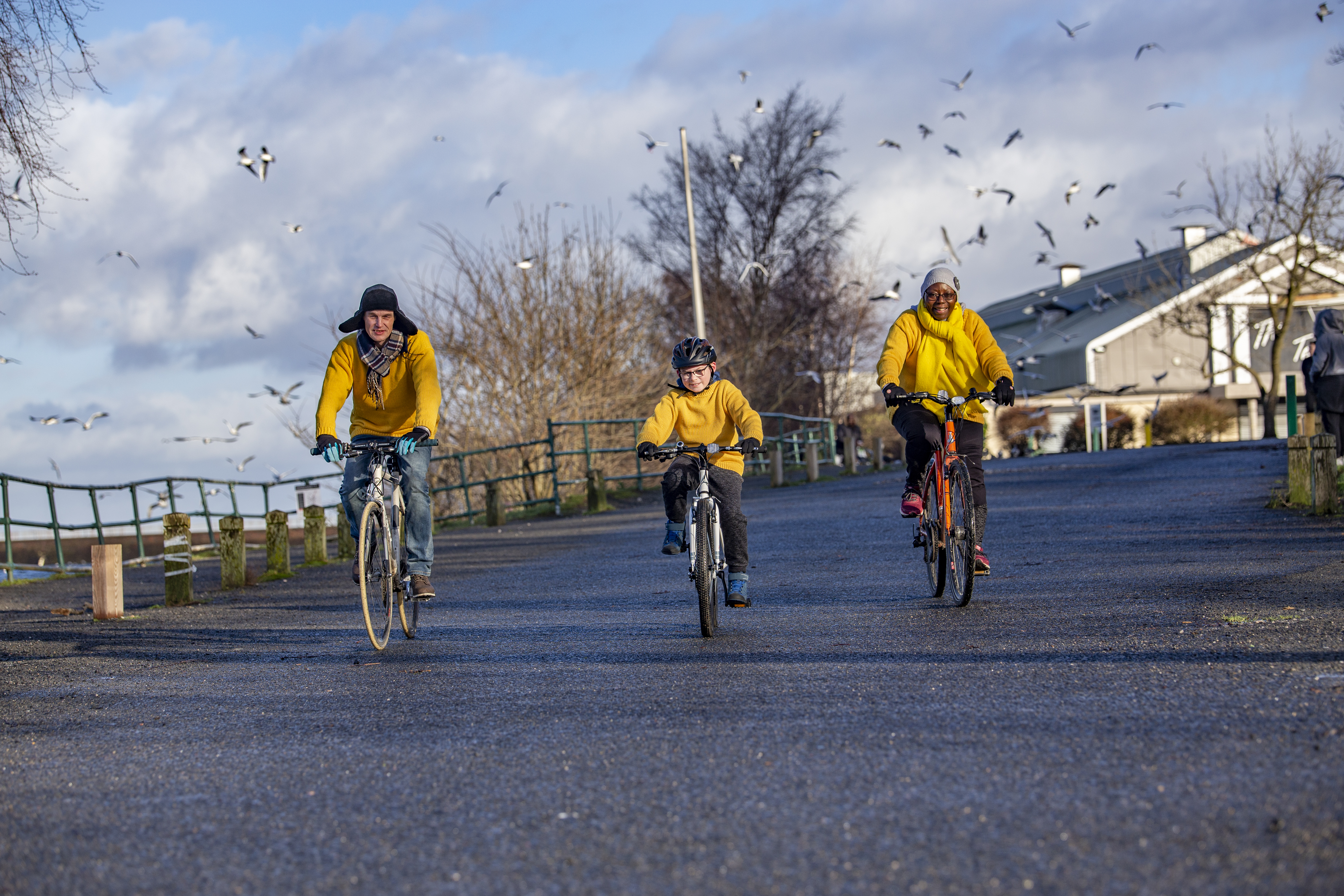 yellow jersey bike insurance