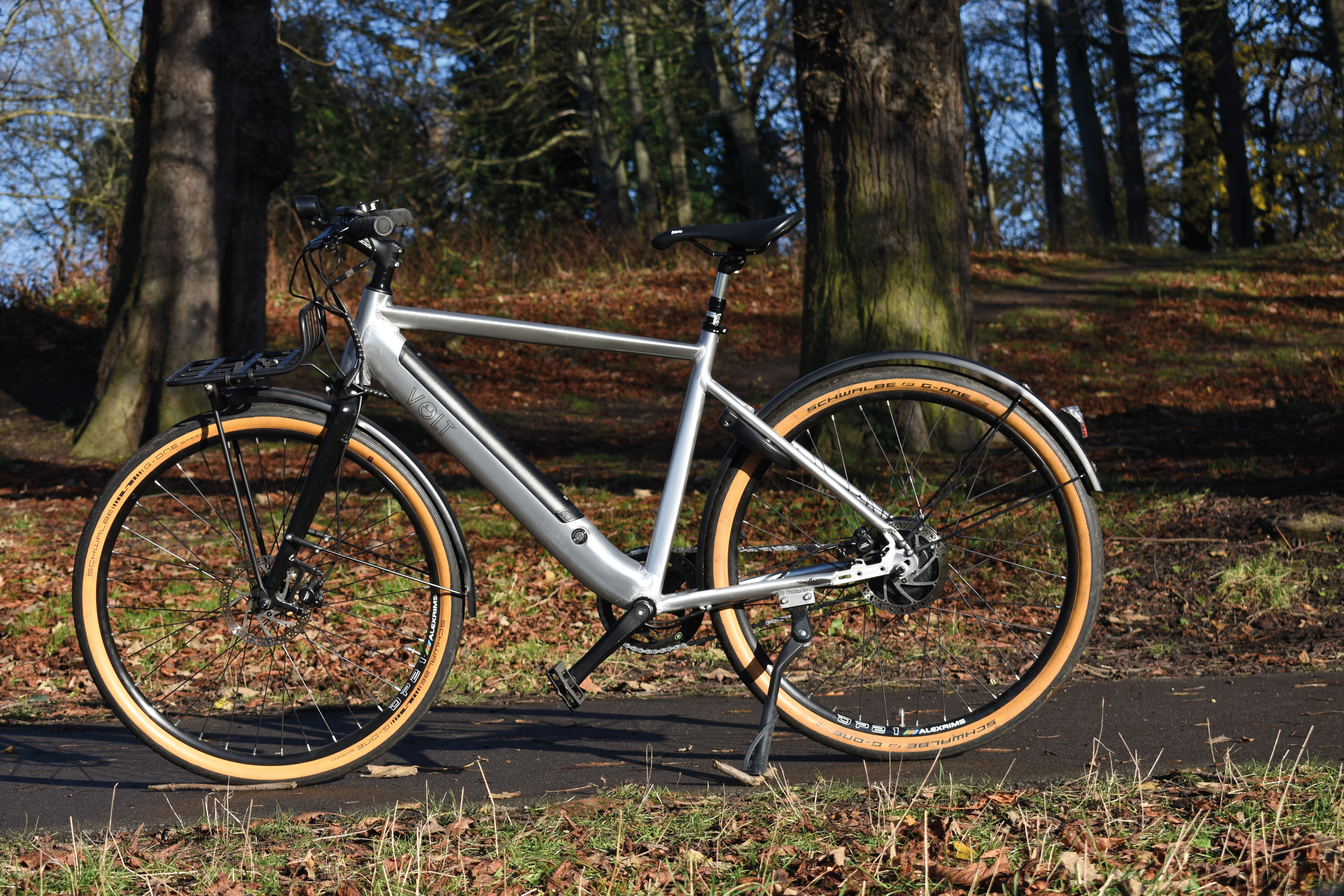 A silver e-bike stands in a wooded area. It has a front rack for luggage