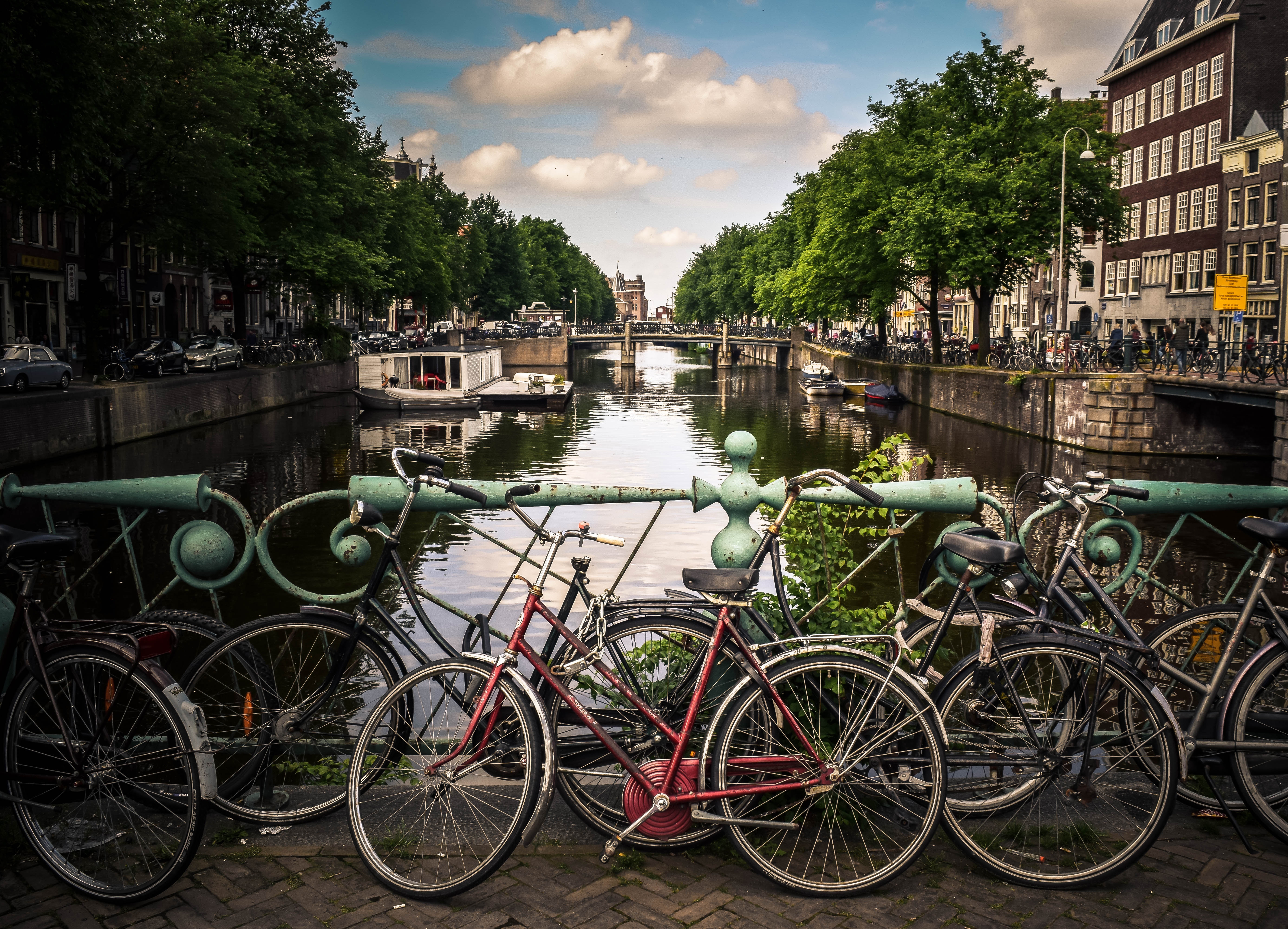 Photo by Jace & Afsoon on Unsplash