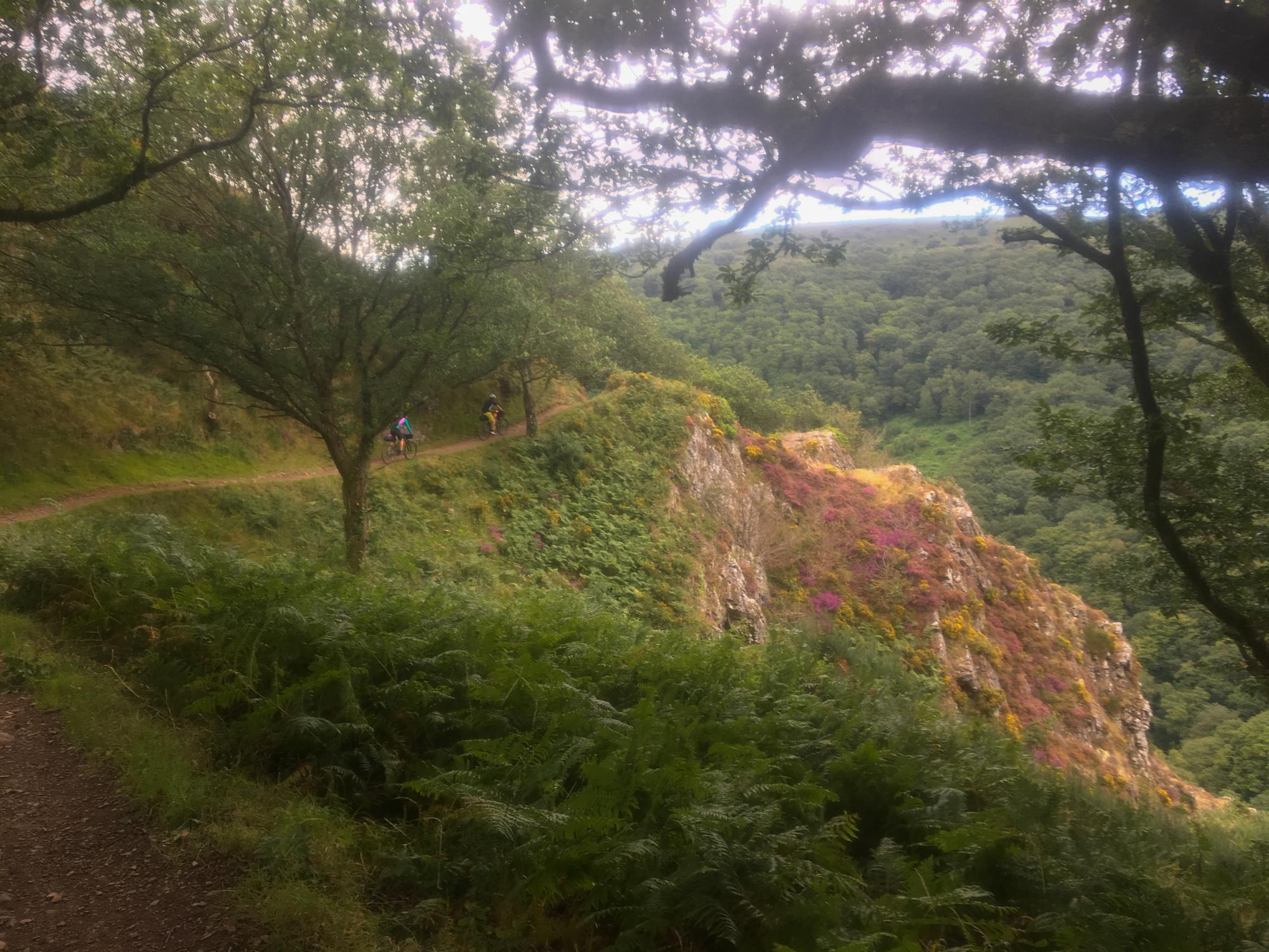 The West Country Way by Anna Cipullo