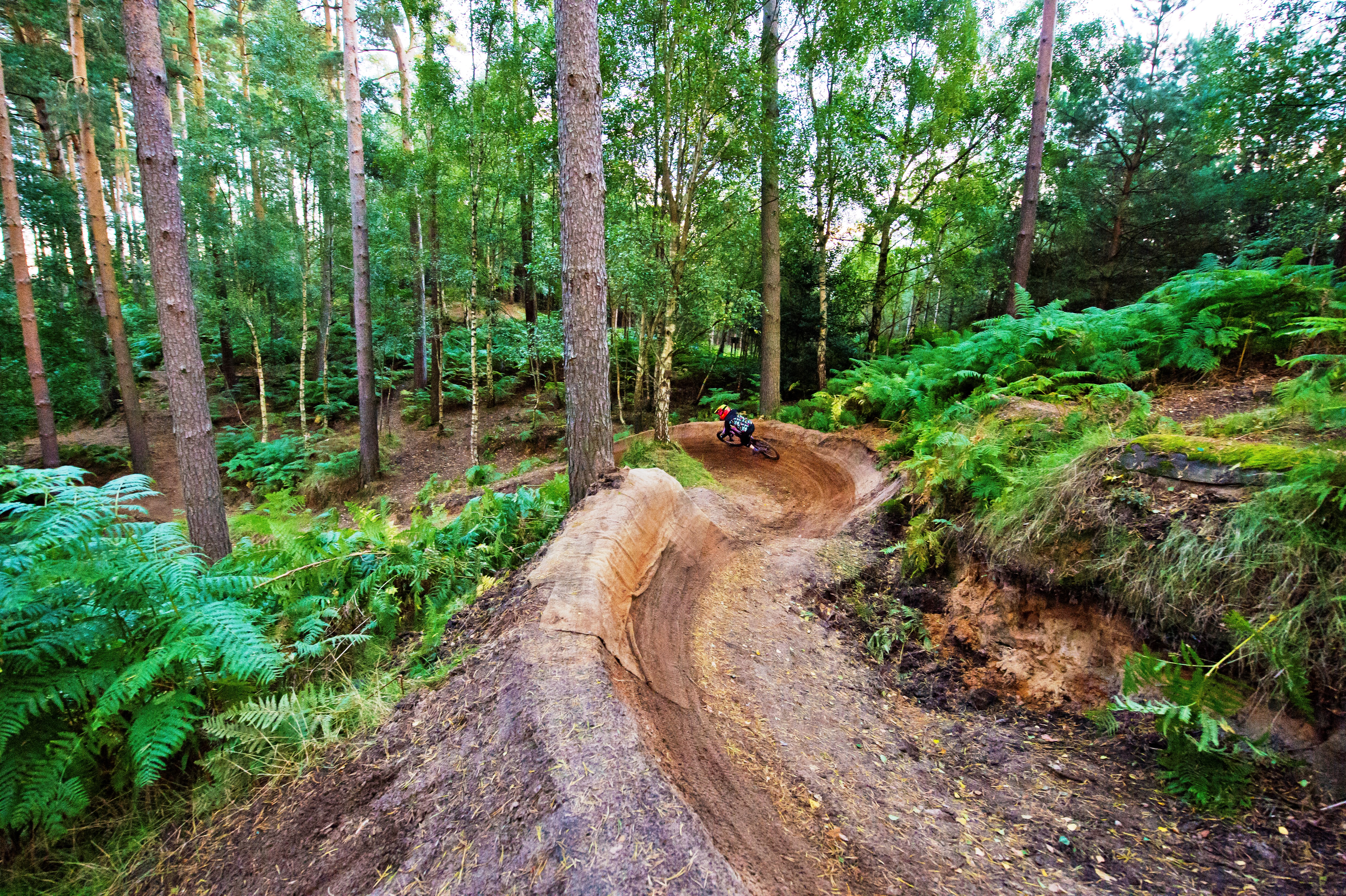 woburn bike trails