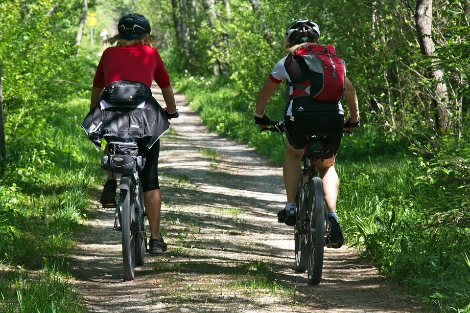 new forest road cycle routes