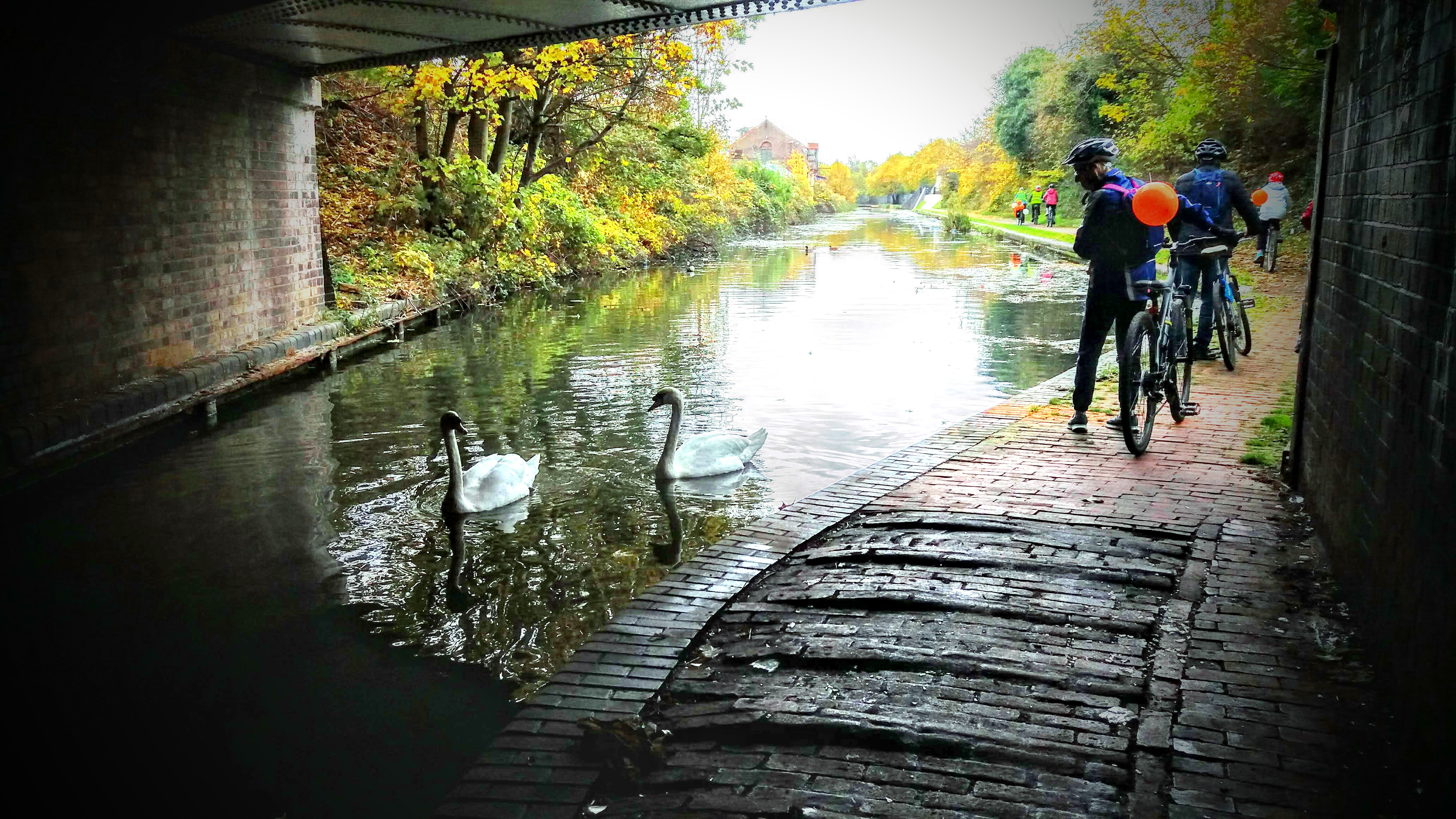 Appreciation of our wild life, whilst cycling on the canal path