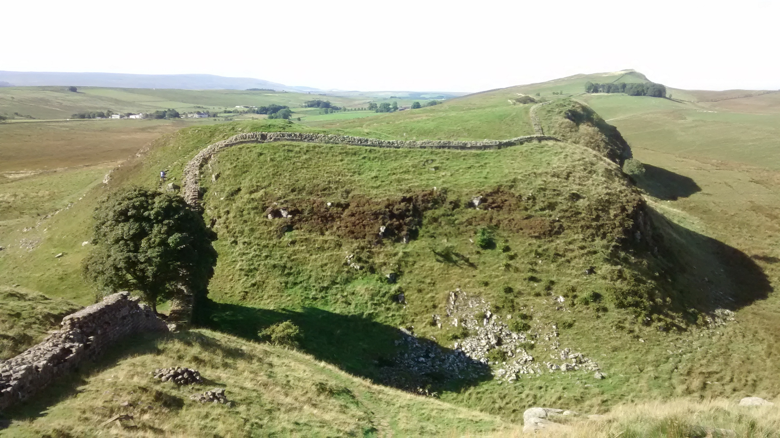 Sycamore Gap on Hadrian's Wall