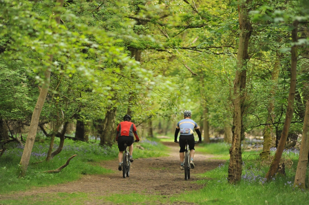 Family cycling at Ashridge Estate | Cycling UK