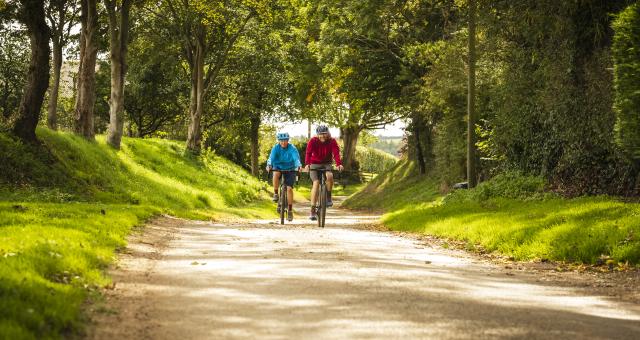 Two people cycling down a tree-lined path towards the camera
