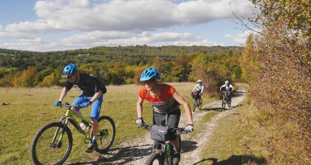 Four people are cycling up a hill on mountain bikes in the North Downs. It's autumn and all the leaves are turning gold and amber