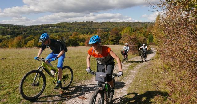 Bike trail near me hotsell
