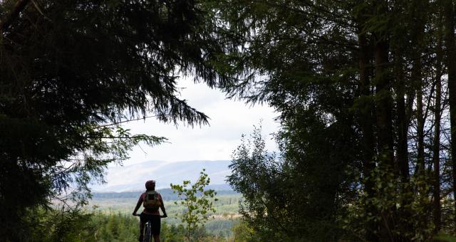 A woman sits on her mountain bike amongst large trees in a wooded area, overlooking a mountainous valley