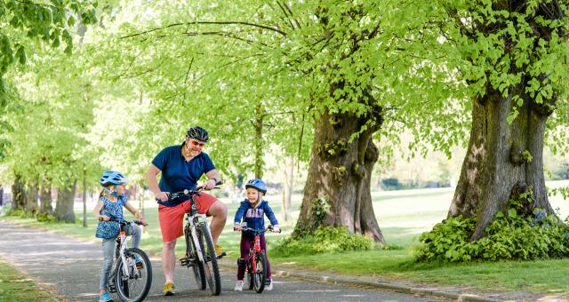 A father and two children cycling in a pleasant green space