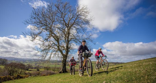 Three men are riding up a slope in the sunshine. Two are on loaded mountain bikes, the other is on a gravel bike