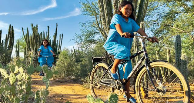 Two young girls wearing blue dresses are cycling on a sandy path lined with bushes and cacti
