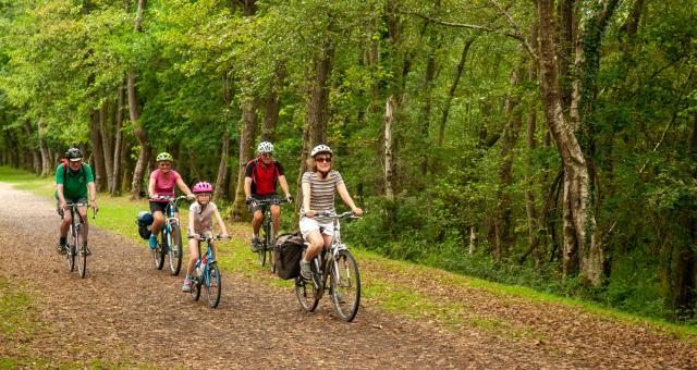 A group of people are riding along a leaf-littered dirt track through a forest. There are two women, two men and a little girl.