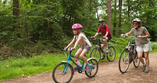 A child and two adults are cycling on a gravel path in a forest. The child is at the front on a blue mountain bike. A man in a red T-shirt is on a mountain bike and smiling. A woman is pushing a loaded hybrid and smiling. They are all wearing summer clothes and cycling helmets
