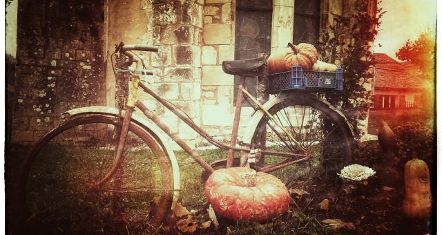 Picture of a bike with pumpkins on it