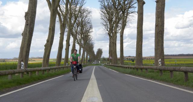 Cyclist riding along a wooded avenue close to the Avenue Verte