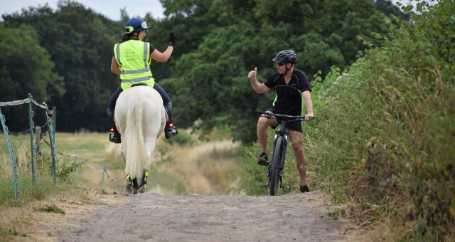Cyclist and horse rider passing
