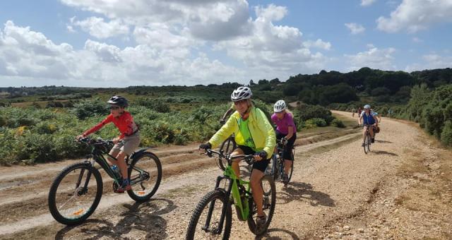 Riders in the New Forest