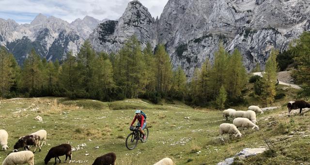 A cyclist rides in an alpine setting