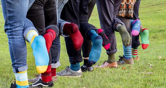 Best mtb socks 2021 online