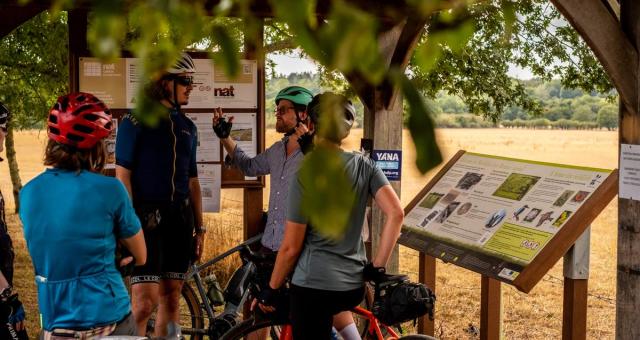 Cyclists in discussion