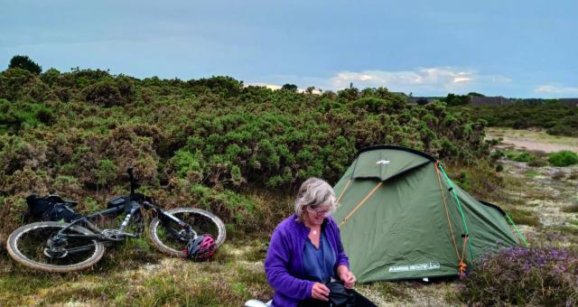 A woman sits amongst heather next to a pitched tent, her bicycle laying behind her