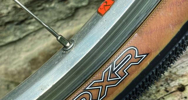 The side profile of a gravel tyre seated on a bicycle wheel