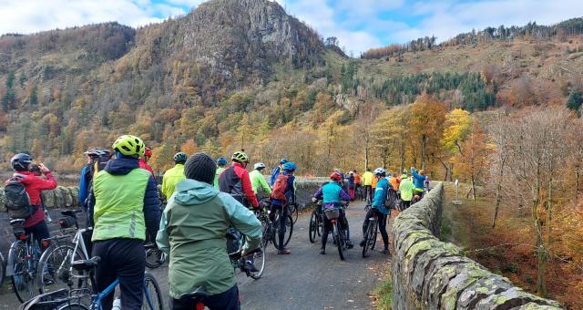 A group of people is cycling along a quiet country road with a stone wall running alongside. It's autumn and the leaves are all copper and red.