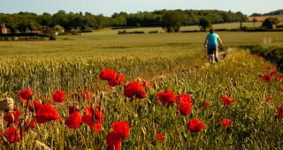 AdrianWills_Kent_womenscycling_June2020 (11).jpg