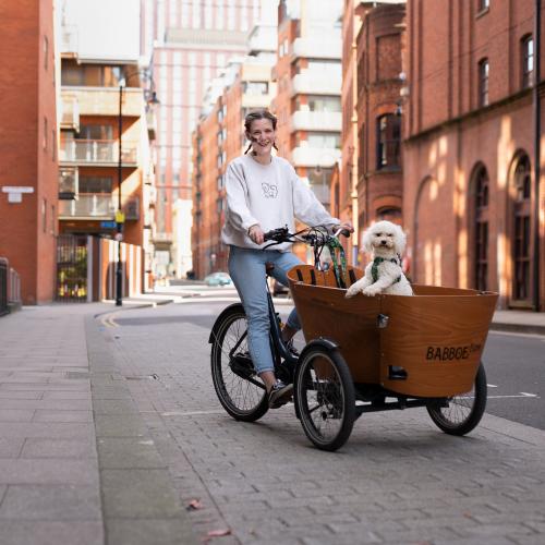 A woman is cycling on a cargo trike. She is wearing blue jeans and a white sweater. She has a NJ tube. A smally, fluffy white dog is in the cargo box.