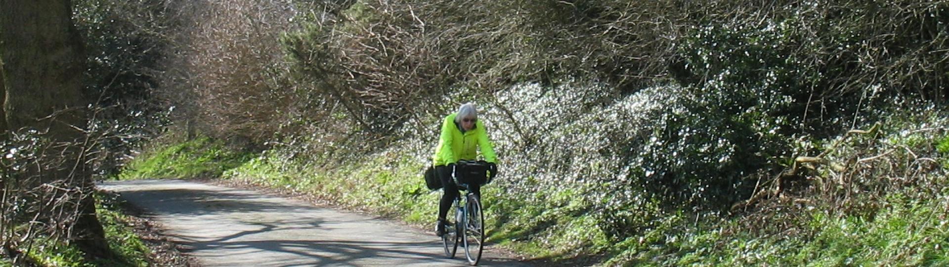 Shirley Quemby Shirley Quemby