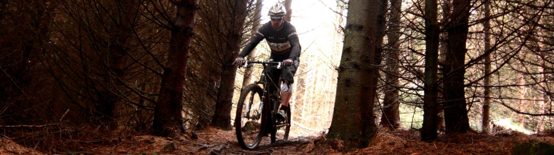 Booking Terms and Conditions Cycling UK