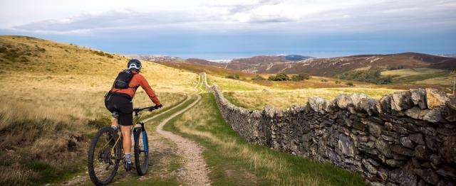 Female cyclists sitting on her bike looking out into the distance of a cycle path with a stone wall next to her