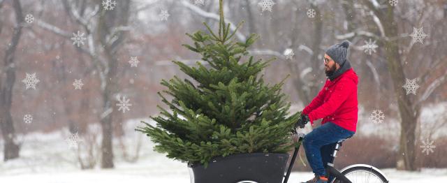 A man in a bright red jacket, blue jeans and woolly hat is cycling a cargo bike with a Christmas tree in the cargo box on the front. He's cycling through a snowy field with trees in the background