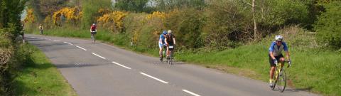 Group of four cyclists on the road