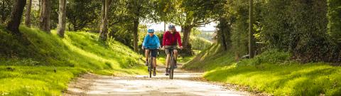 Two people cycling down a tree-lined path towards the camera