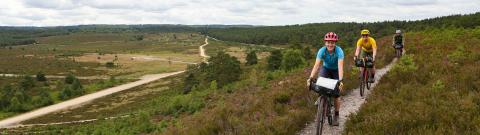 Pannier_King-Alfreds-Way-Route_Cycling-UK_5-Frensham-Common-Ponds.jpg