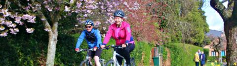 Two people cycling along a scenic, flower-lined path under blooming trees, enjoying the fresh air and vibrant colours of spring.