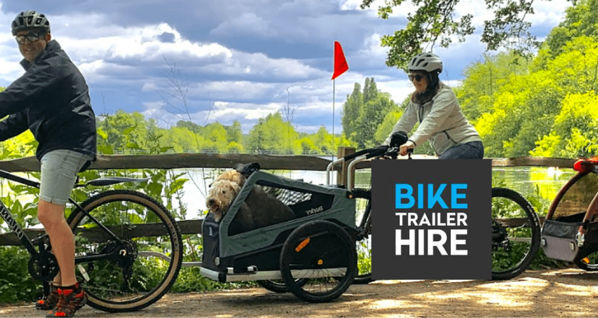 10 new arrivals bike trailer