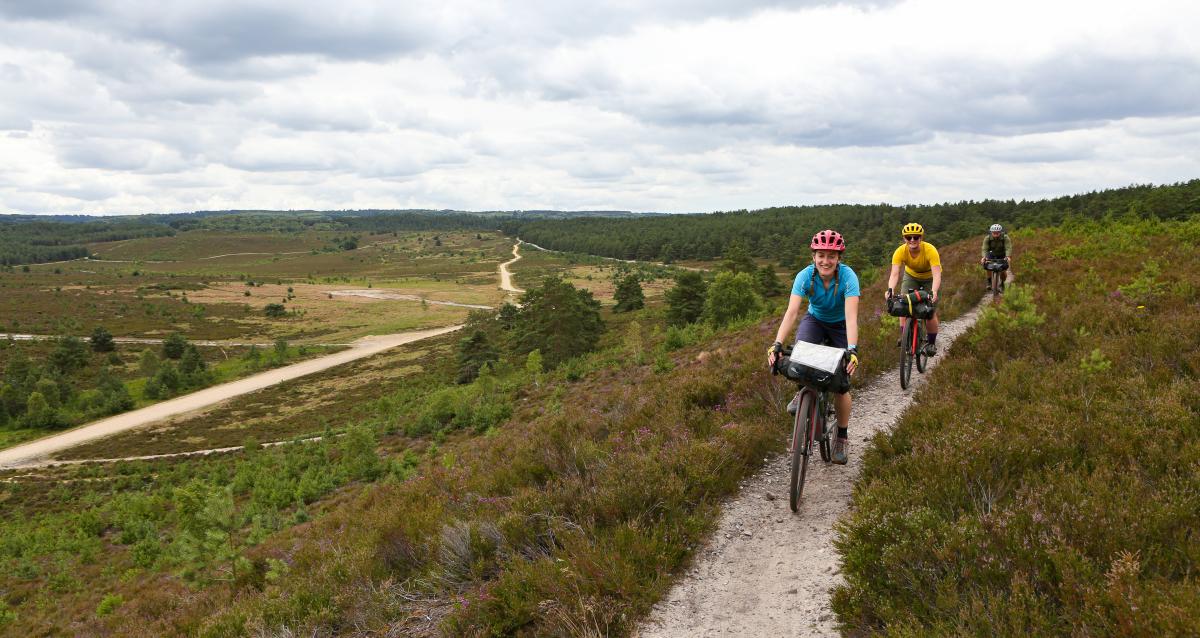 Cycle king website store