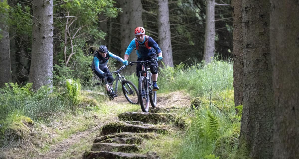 Mtb best sale colour schemes