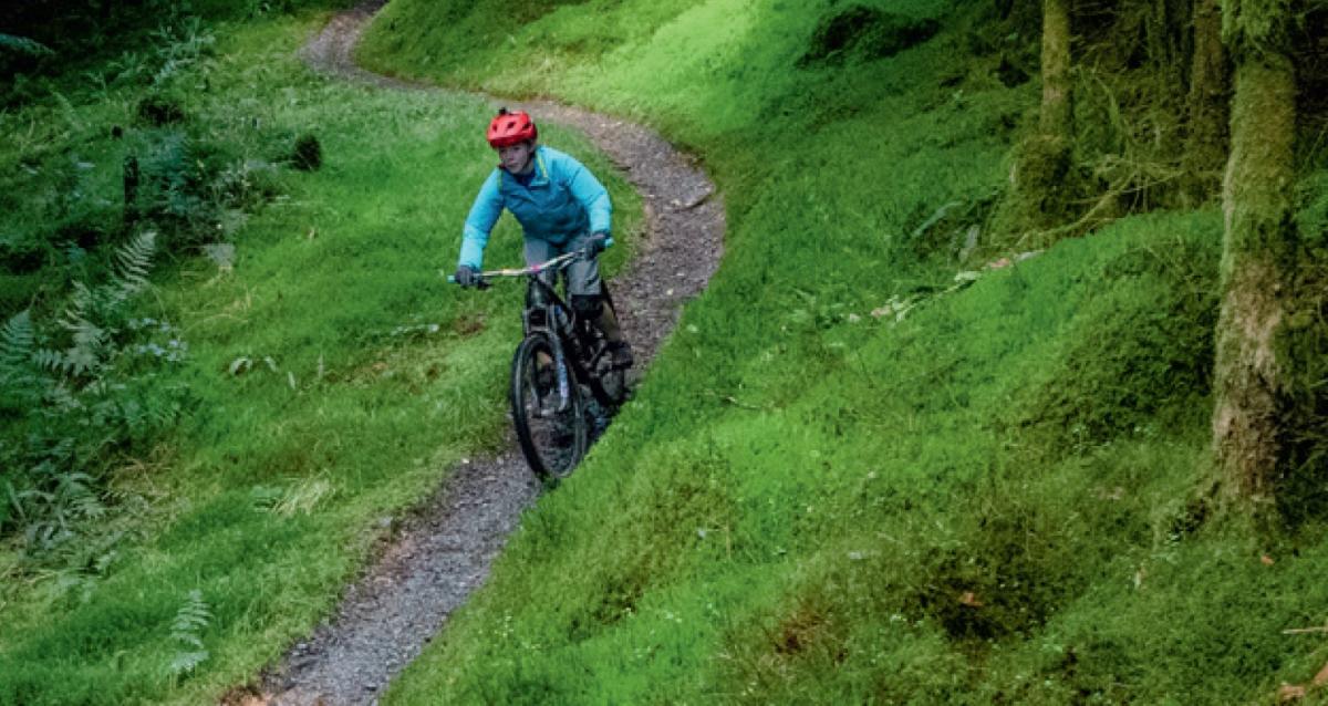 Dyfi forest 2025 mtb