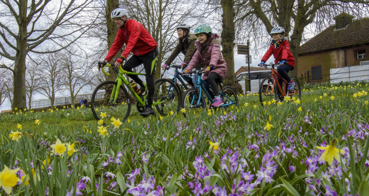 Spring cycling discount