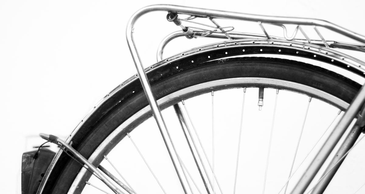 Salmon mudguards 2025