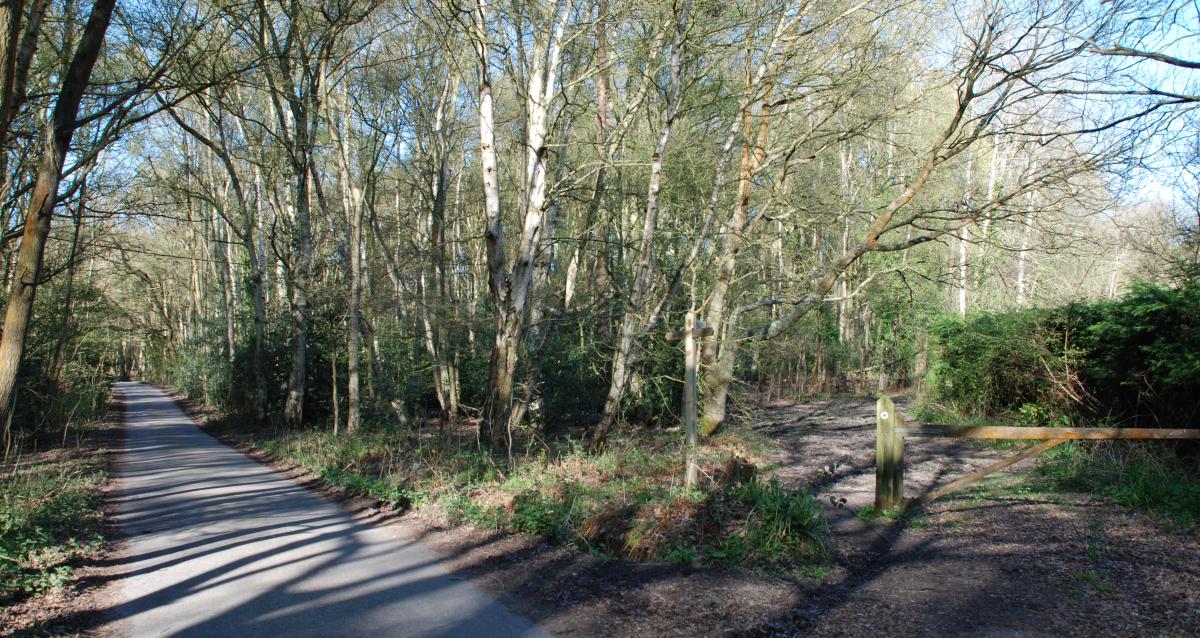 Cycling on public footpaths on sale