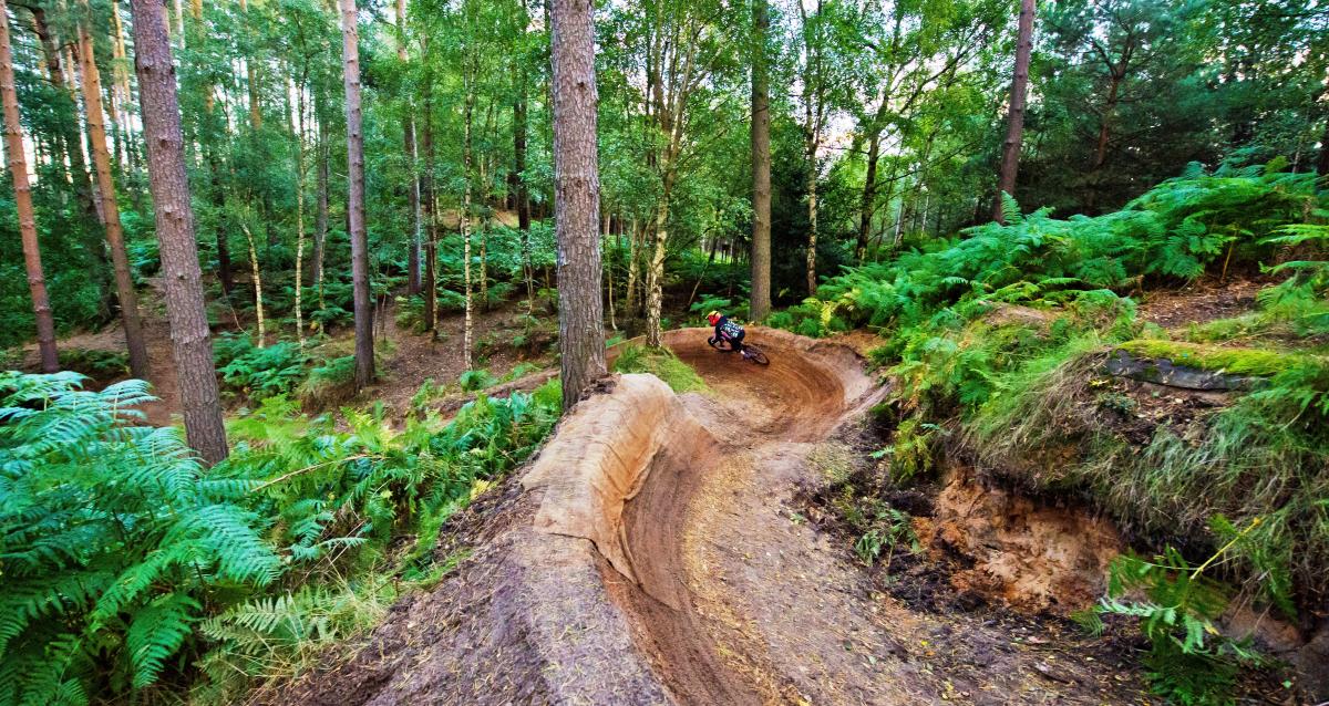 Woburn bike trails clearance